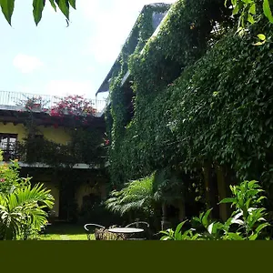 Vilaflor Antigua